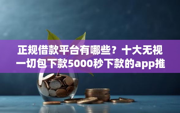 正规借款平台有哪些？十大无视一切包下款5000秒下款的app推荐