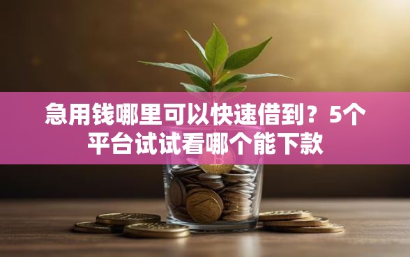 急用钱哪里可以快速借到？5个平台试试看哪个能下款