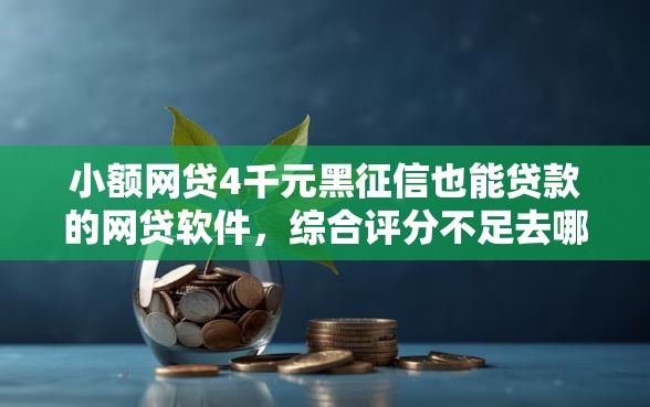 小额网贷4千元黑征信也能贷款的网贷软件，综合评分不足去哪借钱的6个平台介绍