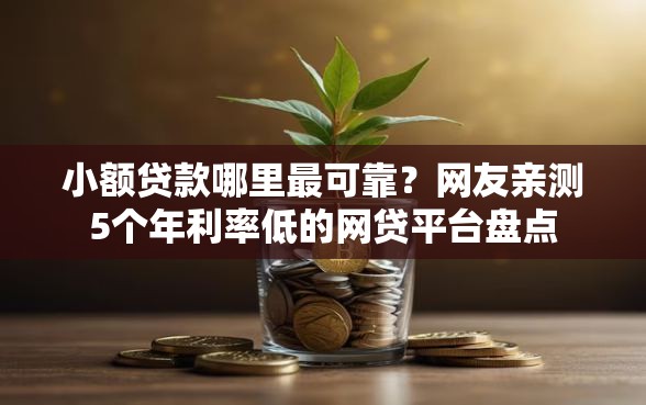 小额贷款哪里最可靠？网友亲测5个年利率低的网贷平台盘点