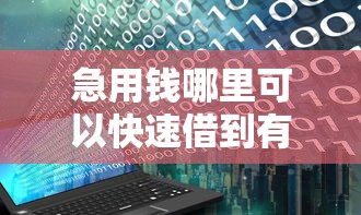 急用钱哪里可以快速借到有哪些？分享10个百分百下款无视黑白户网贷软件