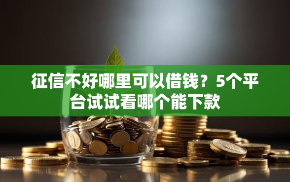 征信不好哪里可以借钱？5个平台试试看哪个能下款
