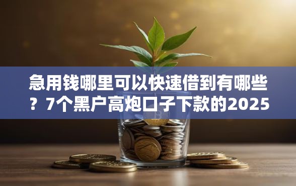 急用钱哪里可以快速借到有哪些？7个黑户高炮口子下款的2025推荐给你