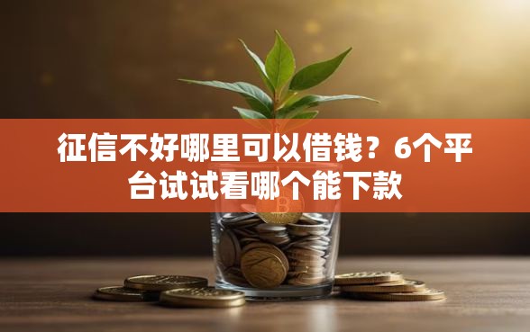 征信不好哪里可以借钱？6个平台试试看哪个能下款