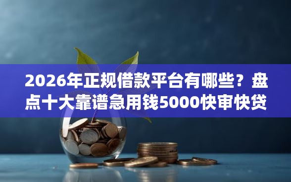 2026年正规借款平台有哪些？盘点十大靠谱急用钱5000快审快贷无需征信app
