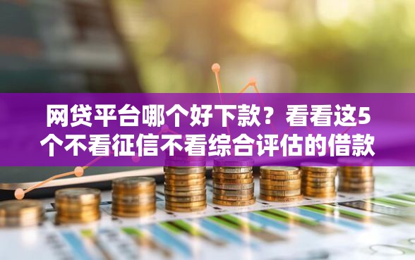 网贷平台哪个好下款？看看这5个不看征信不看综合评估的借款平台怎么样