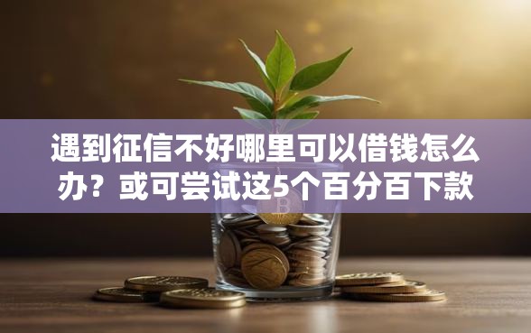 遇到征信不好哪里可以借钱怎么办？或可尝试这5个百分百下款无视黑白户网贷软件