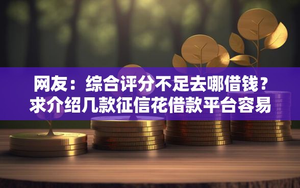 网友：综合评分不足去哪借钱？求介绍几款征信花借款平台容易通过