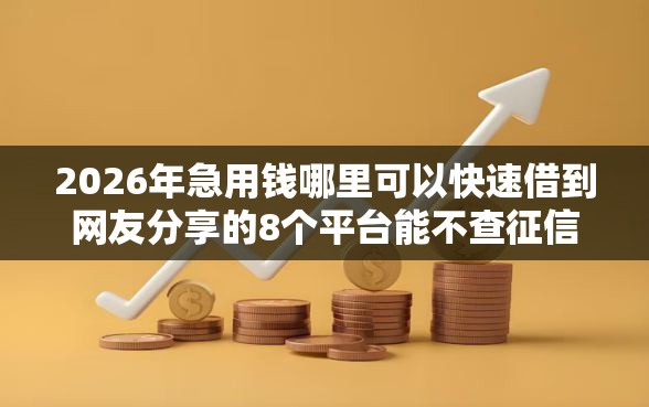 2026年急用钱哪里可以快速借到网友分享的8个平台能不查征信直接看出来借款额度我觉得不错！
