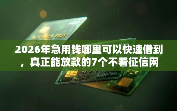2026年急用钱哪里可以快速借到，真正能放款的7个不看征信网贷平台放款快的口子推荐