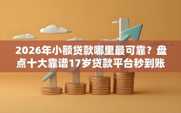 2026年小额贷款哪里最可靠？盘点十大靠谱17岁贷款平台秒到账