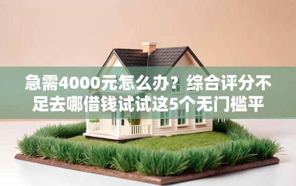 急需4000元怎么办？综合评分不足去哪借钱试试这5个无门槛平台