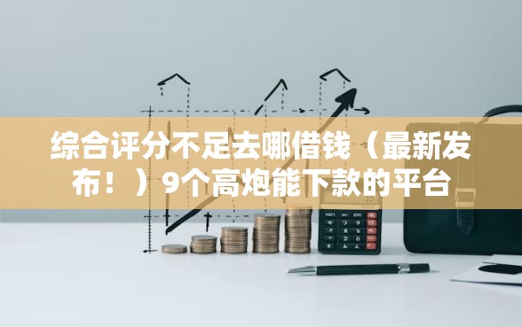 综合评分不足去哪借钱（最新发布！）9个高炮能下款的平台