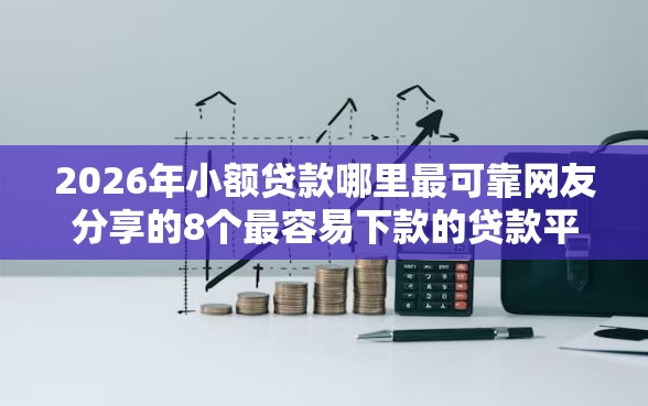 2026年小额贷款哪里最可靠网友分享的8个最容易下款的贷款平台不看征信我觉得不错！