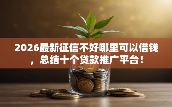 2026最新征信不好哪里可以借钱，总结十个贷款推广平台！