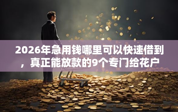 2026年急用钱哪里可以快速借到，真正能放款的9个专门给花户放款的平台推荐