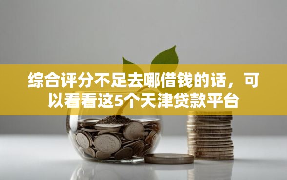 综合评分不足去哪借钱的话，可以看看这5个天津贷款平台