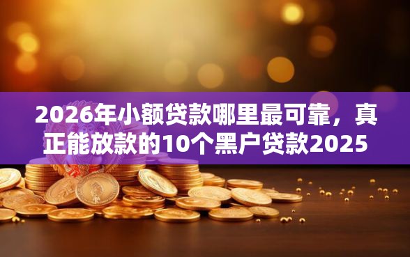2026年小额贷款哪里最可靠，真正能放款的10个黑户贷款2025新口子推荐