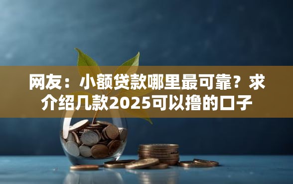 网友：小额贷款哪里最可靠？求介绍几款2025可以撸的口子