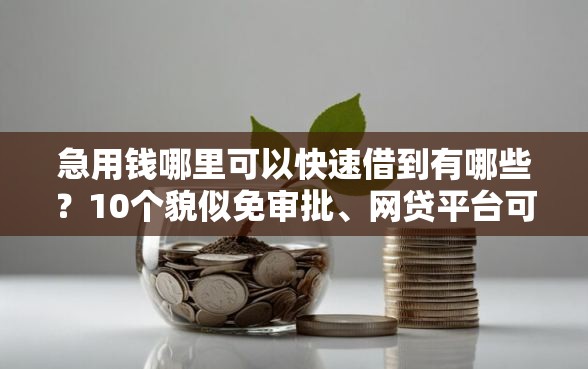 急用钱哪里可以快速借到有哪些？10个貌似免审批、网贷平台可以贷款合集