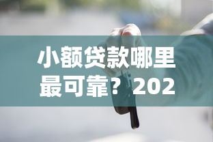 小额贷款哪里最可靠？2026最新测评10个贷款买车平台