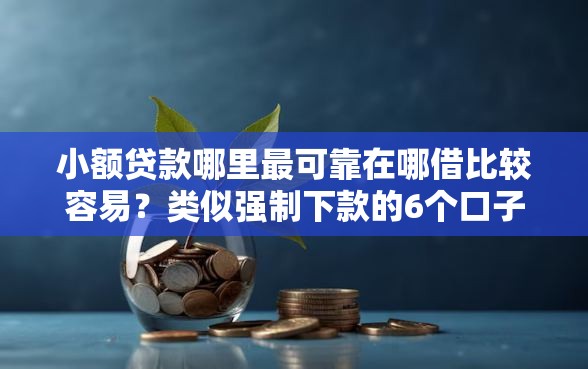 小额贷款哪里最可靠在哪借比较容易？类似强制下款的6个口子参考