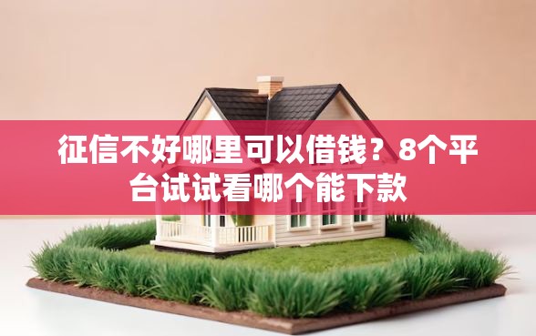 征信不好哪里可以借钱？8个平台试试看哪个能下款
