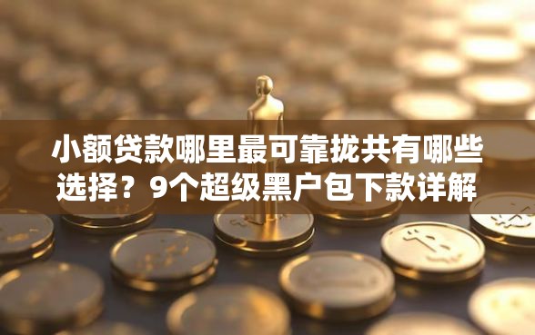 小额贷款哪里最可靠拢共有哪些选择？9个超级黑户包下款详解