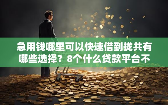 急用钱哪里可以快速借到拢共有哪些选择？8个什么贷款平台不上征信详解
