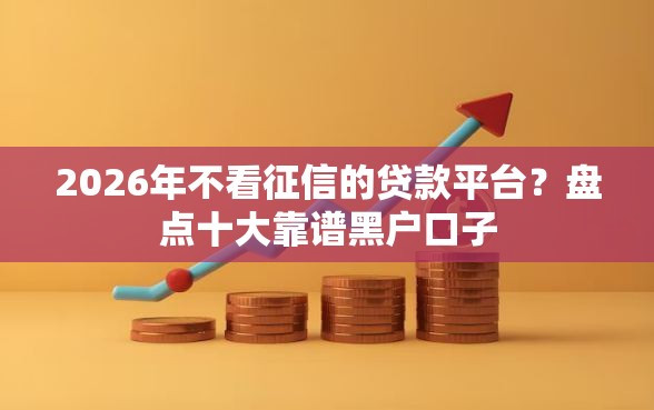2026年不看征信的贷款平台？盘点十大靠谱黑户口子