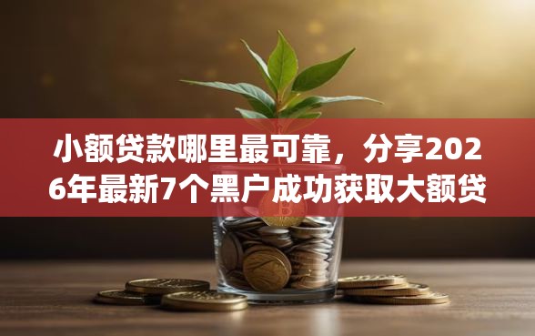 小额贷款哪里最可靠，分享2026年最新7个黑户成功获取大额贷款的app