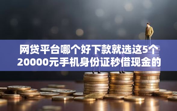 网贷平台哪个好下款就选这5个20000元手机身份证秒借现金的口子