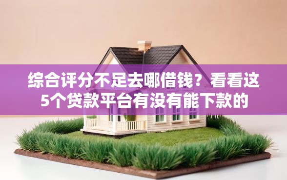 综合评分不足去哪借钱？看看这5个贷款平台有没有能下款的