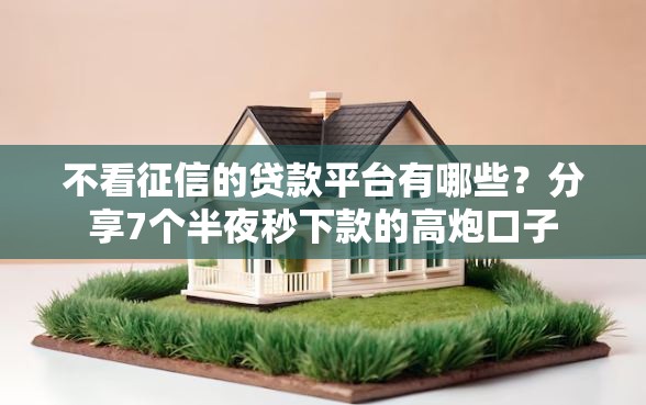 不看征信的贷款平台有哪些？分享7个半夜秒下款的高炮口子