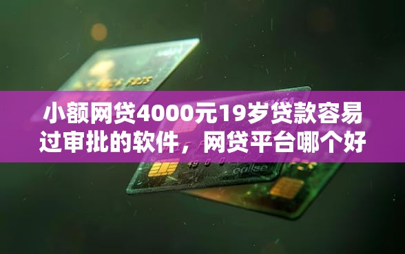 小额网贷4000元19岁贷款容易过审批的软件，网贷平台哪个好下款的6个平台介绍