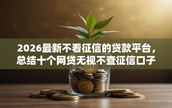 2026最新不看征信的贷款平台，总结十个网贷无视不查征信口子！