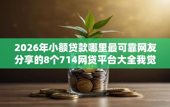 2026年小额贷款哪里最可靠网友分享的8个714网贷平台大全我觉得不错！