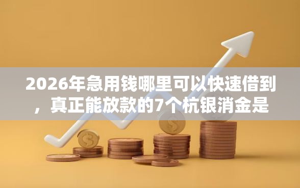 2026年急用钱哪里可以快速借到，真正能放款的7个杭银消金是贷款平台推荐