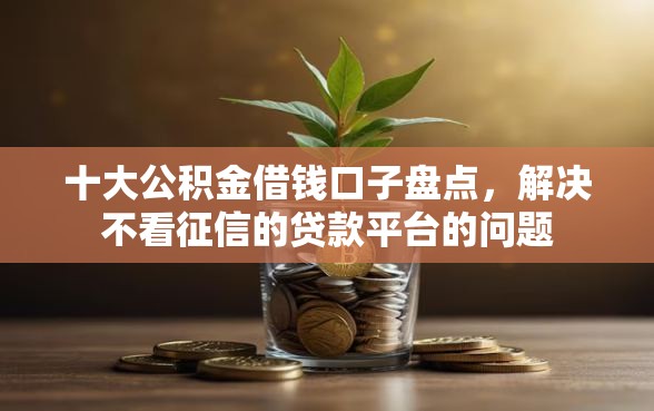 十大公积金借钱口子盘点，解决不看征信的贷款平台的问题