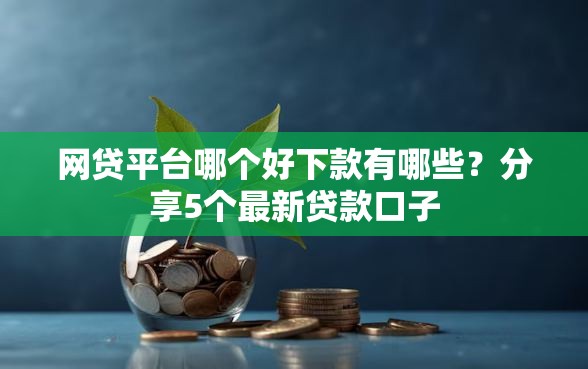网贷平台哪个好下款有哪些?分享5个最新贷款口子 网贷平台哪个好下款有哪些?分享5个最新贷款口子