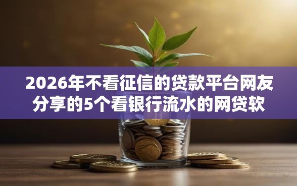 2026年不看征信的贷款平台网友分享的5个看银行流水的网贷软件我觉得不错! 2026年不看征信的贷款平台网友分享的5个看银行流水的网贷软件我觉得不错!