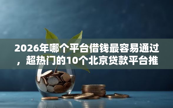 2026年哪个平台借钱最容易通过，超热门的10个北京贷款平台推荐
