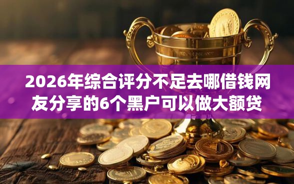 2026年综合评分不足去哪借钱网友分享的6个黑户可以做大额贷款app我觉得不错！