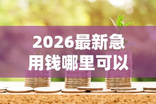 2026最新急用钱哪里可以快速借到（支持微信），8个贷款正规的平台无私分享