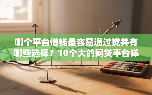 哪个平台借钱最容易通过拢共有哪些选择？10个大的网贷平台详解