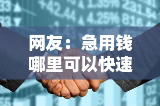 网友：急用钱哪里可以快速借到？求介绍几款征信花负债高有逾期还能下款的口子