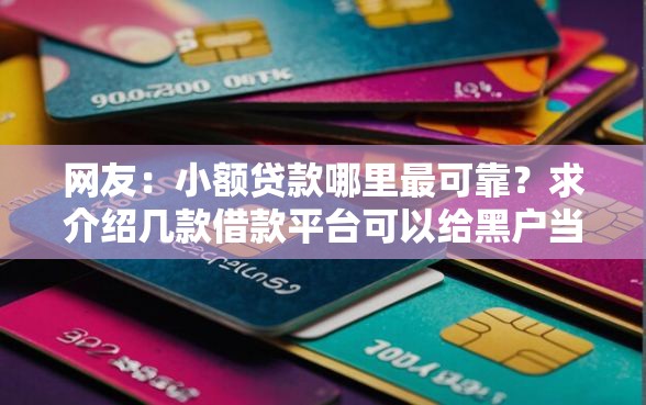 网友：小额贷款哪里最可靠？求介绍几款借款平台可以给黑户当前有逾期的借款一万