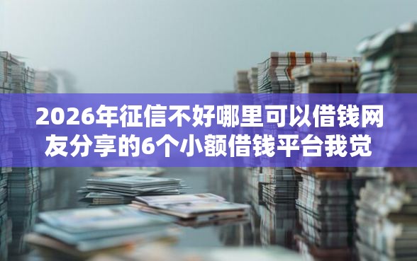 2026年征信不好哪里可以借钱网友分享的6个小额借钱平台我觉得不错！