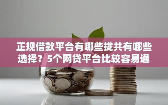正规借款平台有哪些拢共有哪些选择？5个网贷平台比较容易通过的详解