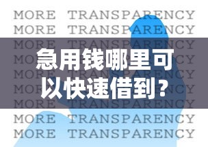 急用钱哪里可以快速借到？2026最新测评10个最新不查征信的口子